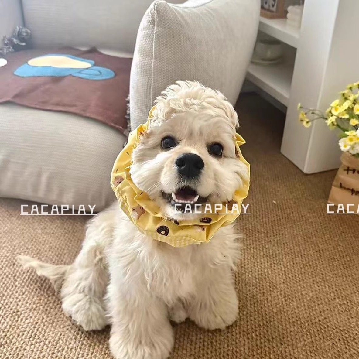 新品【甜甜圈小熊】美卡狗狗耳花防脏耳套口水巾可卡可卡布查理王,淘宝优惠券,粉丝福利购,淘宝优惠卷