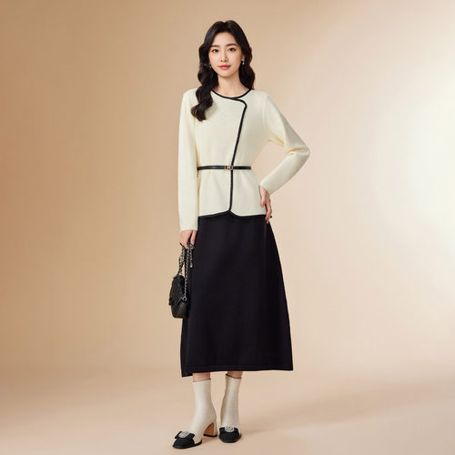 IEF/爱依服2025秋冬新款韩版成熟优雅气质通勤百搭毛织上下套裙 - 图0