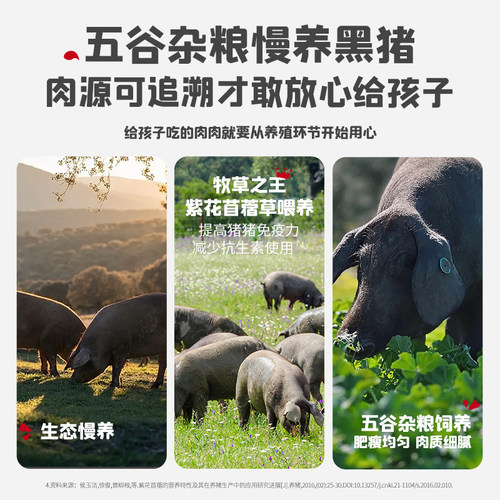 英氏忆小口儿童肉肠90%纯黑猪肉十大不添加儿童零食烤肠热狗火腿 - 图1