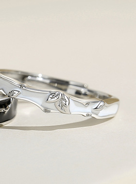 情人节七夕节纪念日情侣礼物