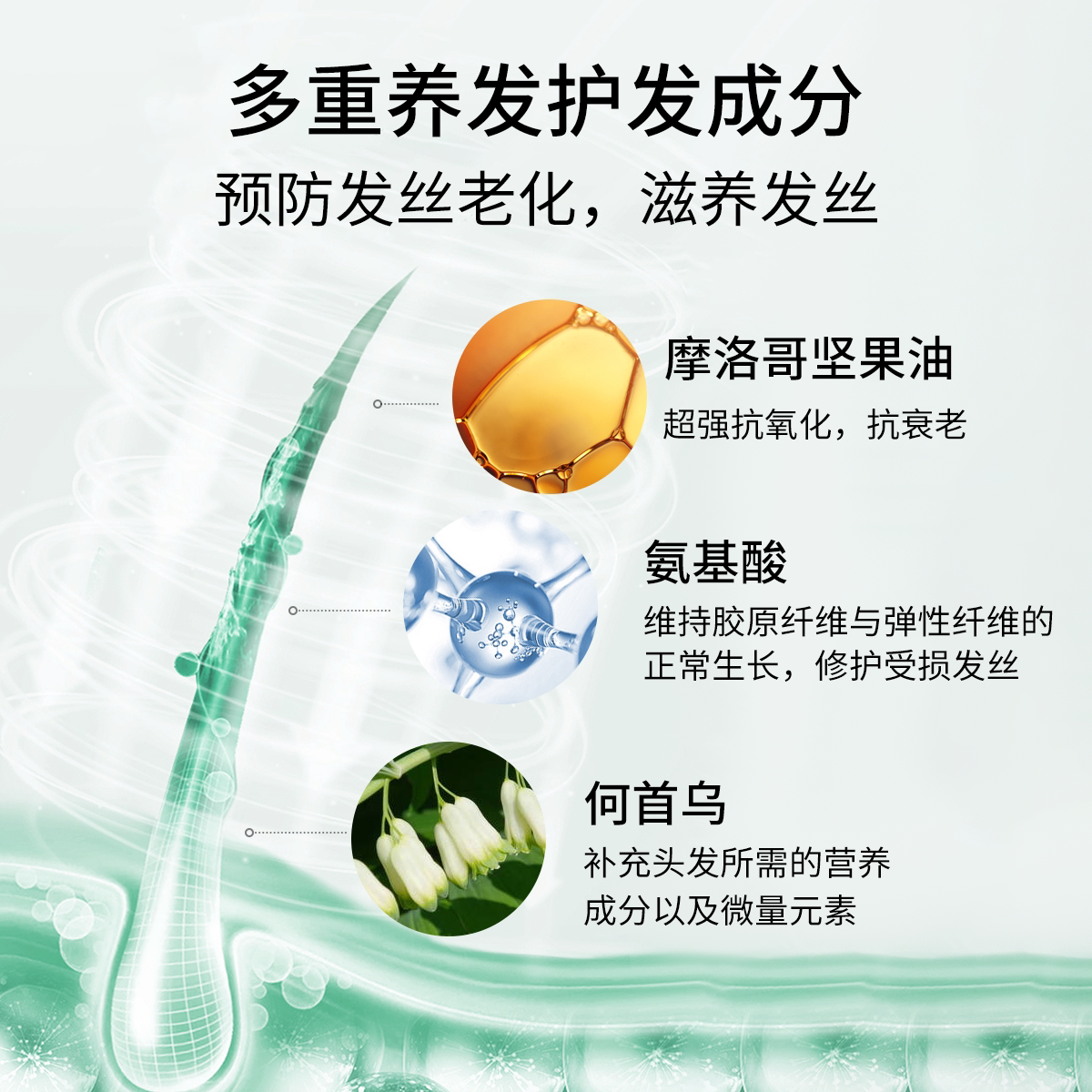 瑞士carvaho干发喷雾免洗头发去油 HappyValley海外洗发水