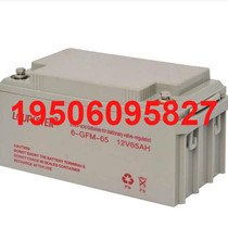 Leinebattery 6-GFM-65 Spot Supply 12V65AH Direct Current Screen System Uninterrupted Power Supply