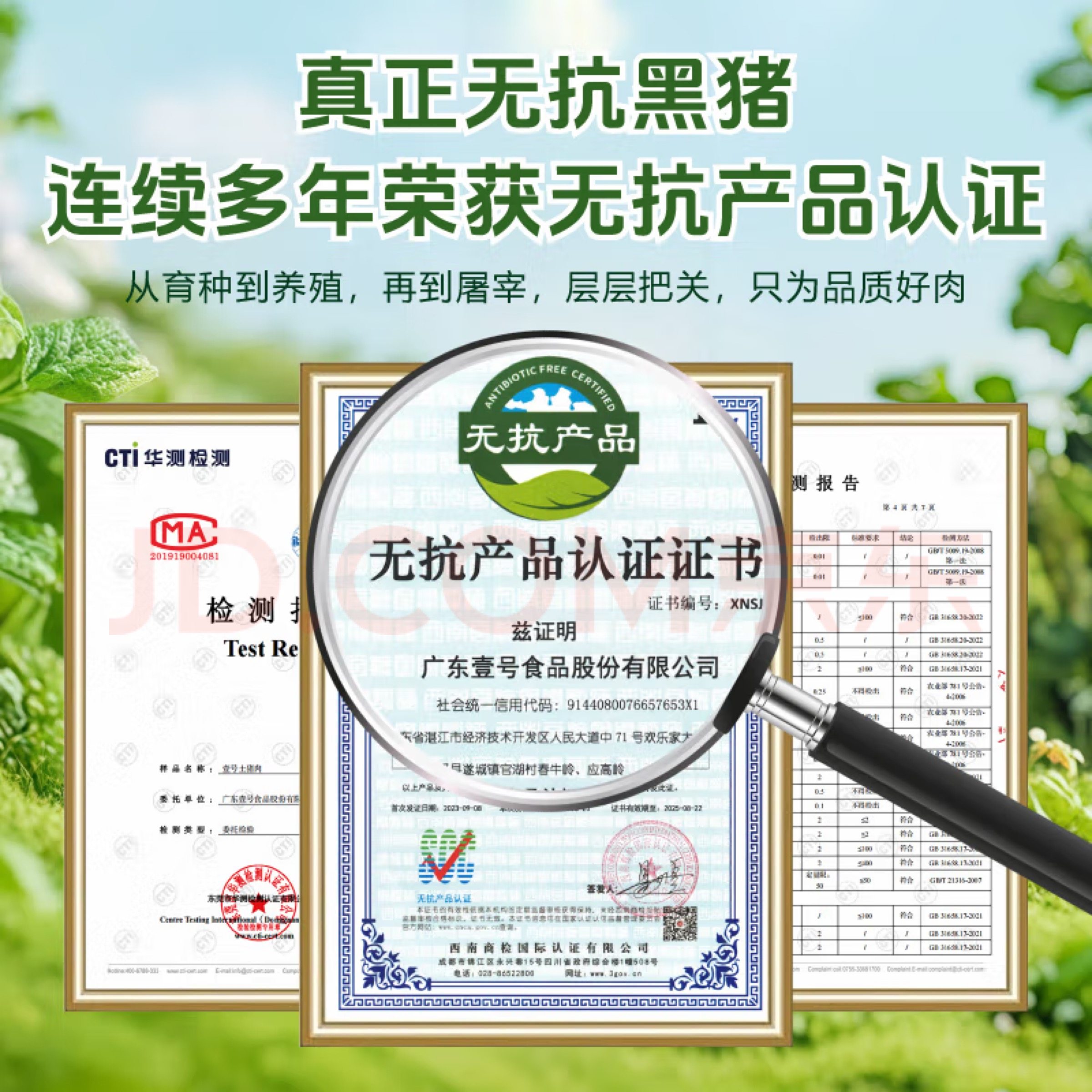 壹号土R 新鲜无抗黑猪肋排大排黑猪肉生猪肉排骨大排原切小肋排骨,淘宝优惠券,粉丝福利购,淘宝优惠卷