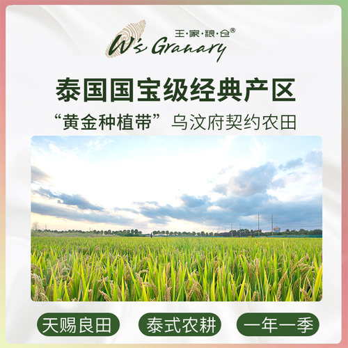 王家粮仓泰国香米乌汶府茉莉香米原装进口长粒香5kg10kg大米 - 图0