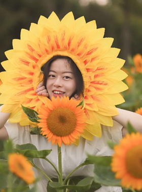 向日葵头套太阳花脸套露脸葵花帽
