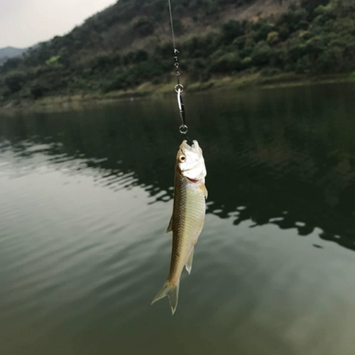 椹  芥潯 缁 戝 ソ涓 嶄 激绾胯 矾浜 氶 サ 鐡滃 瓙浜 墖椋 炶 潎閽 ╁ 瑁呭 姪 曞 櫒婧  祦鍗曢挬 鍋囬 サ