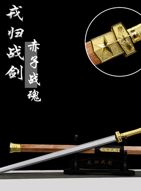龙泉戎归战之剑汉剑一体龙骨花纹退伍纪念送战友定制礼品未开刃