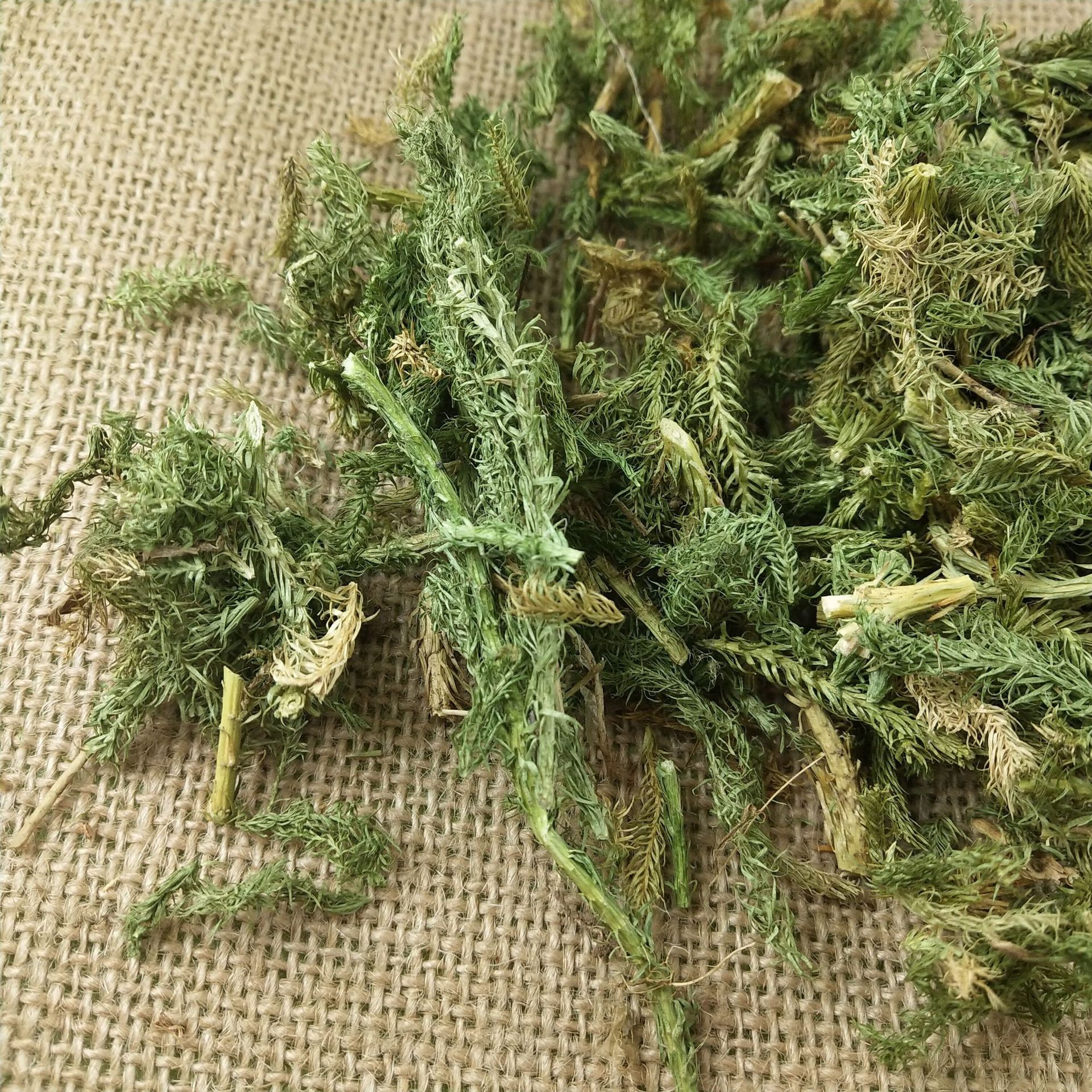 伸筋草粉中药材舒筋草三宝茶三宝茶粉远志益智仁500克正品包邮-图2