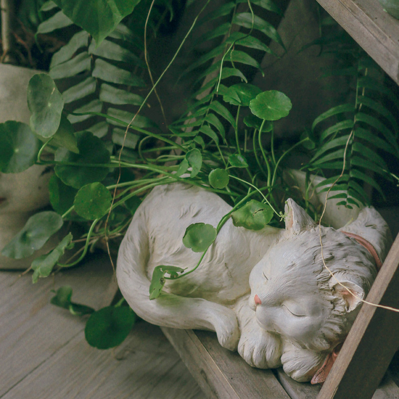 巴里小白猫创意花器树脂阳台户外养肉肉花盆花园庭院种植多肉植物 - 图2