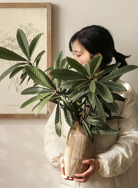 木制圆桶花插泡桐木风复古做旧