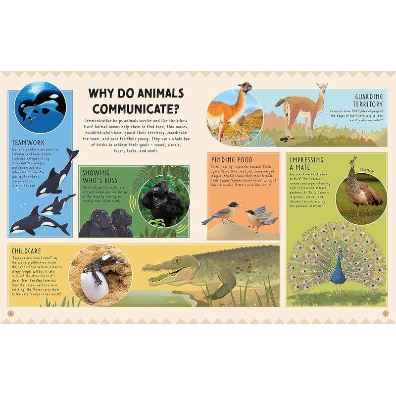 DK动物说 Animal Talk 英文原版 儿童科普绘本 动物知识百科图画书 7岁以上 进口自然科学读本 精装 动物对话交流 大音