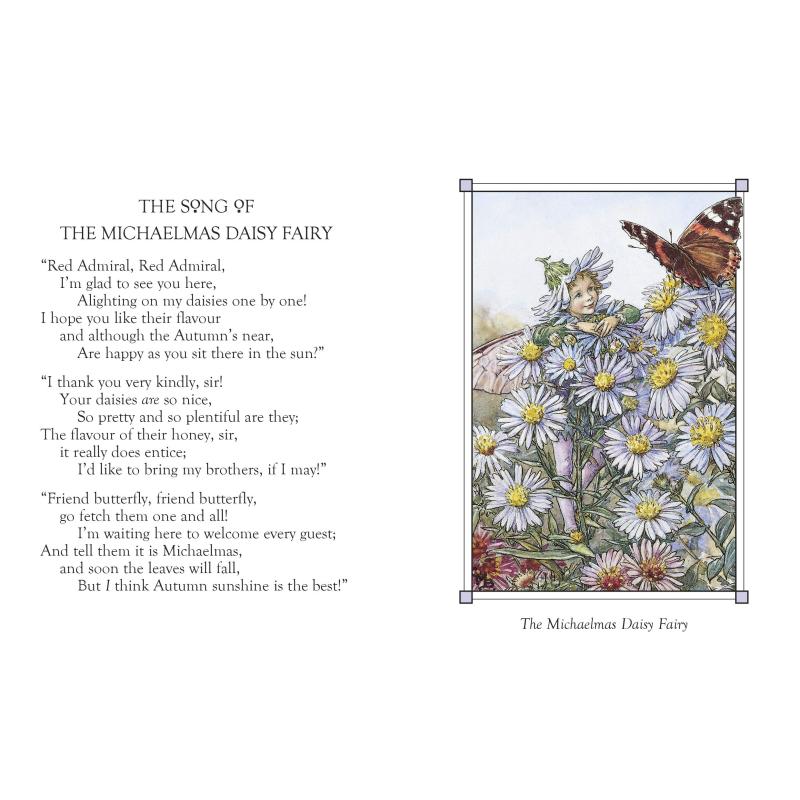 Cicely Mary Barker 花仙子合集 Flower Fairies 春夏秋冬之仙子4册套装 四季仙女绘本 植物花卉精美插画英文原版 大音