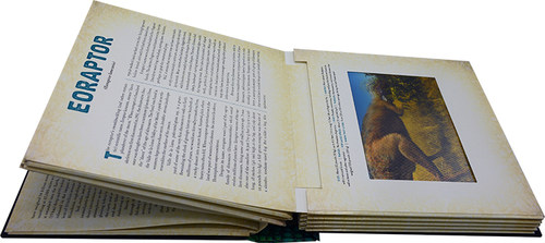 光与影视觉书系列 恐龙 英文原版 会动的3D图片立体绘本 Dinosaur A Photicular Book Dan Kainen 纽约时报畅销书 - 图2