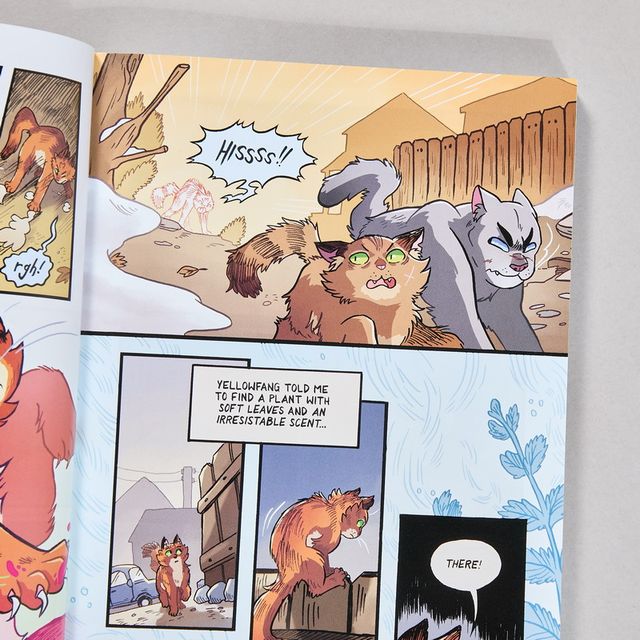 Warriors cat warrior series English books