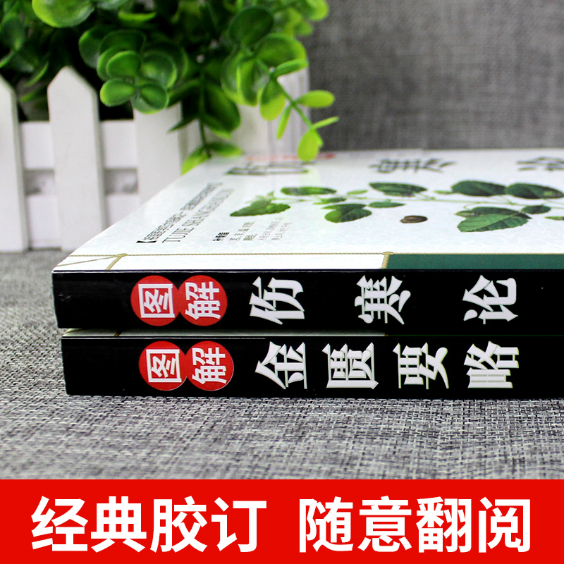 2册 伤寒论张仲景正版 金匮要略 中医入门零基础学 中医四大经典名著 医学类全书书伤寒杂病论伤感白话解原版全套李时珍 - 图1