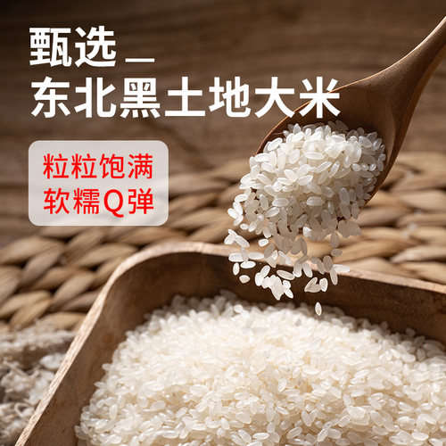 【12粒】乐肴居饭团早餐半成品手握三角饭团速食微波加热即食饭团 - 图0