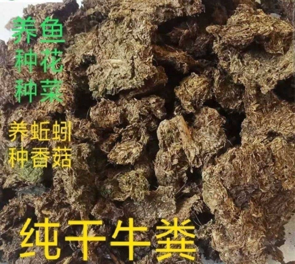 纯干牛粪块天然发酵农家有机肥种花种菜家庭园艺肥牛屎牛粪饼底肥-图1