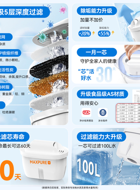 【全新三代】石斑鱼滤水壶滤芯通用滤芯适配碧然德brita净水壶