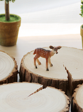 复古风年轮拍照背景10-15cm木桩