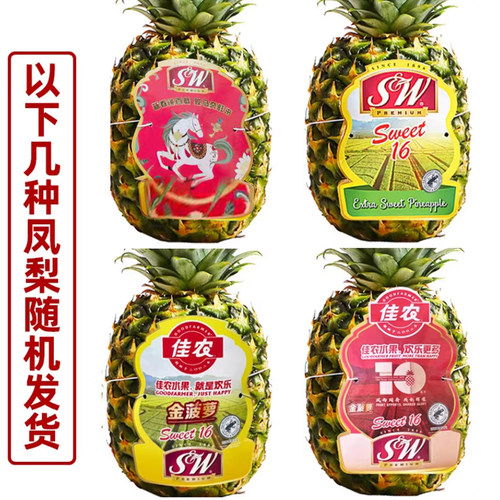 佳农凤梨水果 新鲜2个大果 削皮即食 sw菲律宾进口凤梨新鲜水果 - 图0
