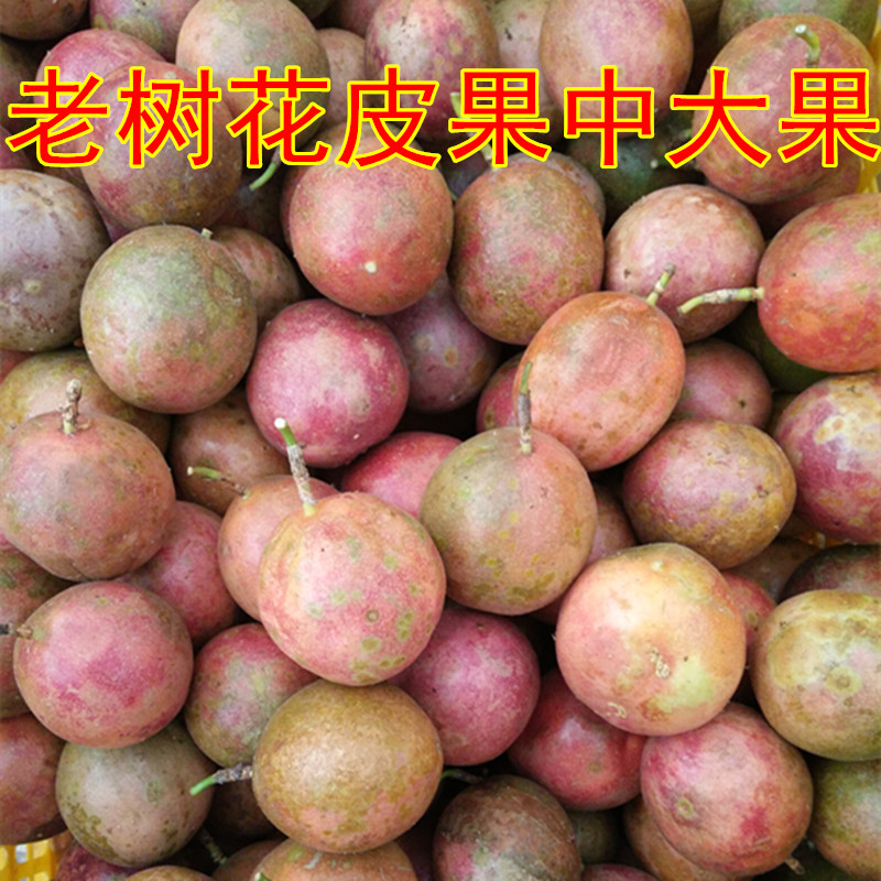 广西新鲜百香果奶茶店西番连鸡蛋果图片_1