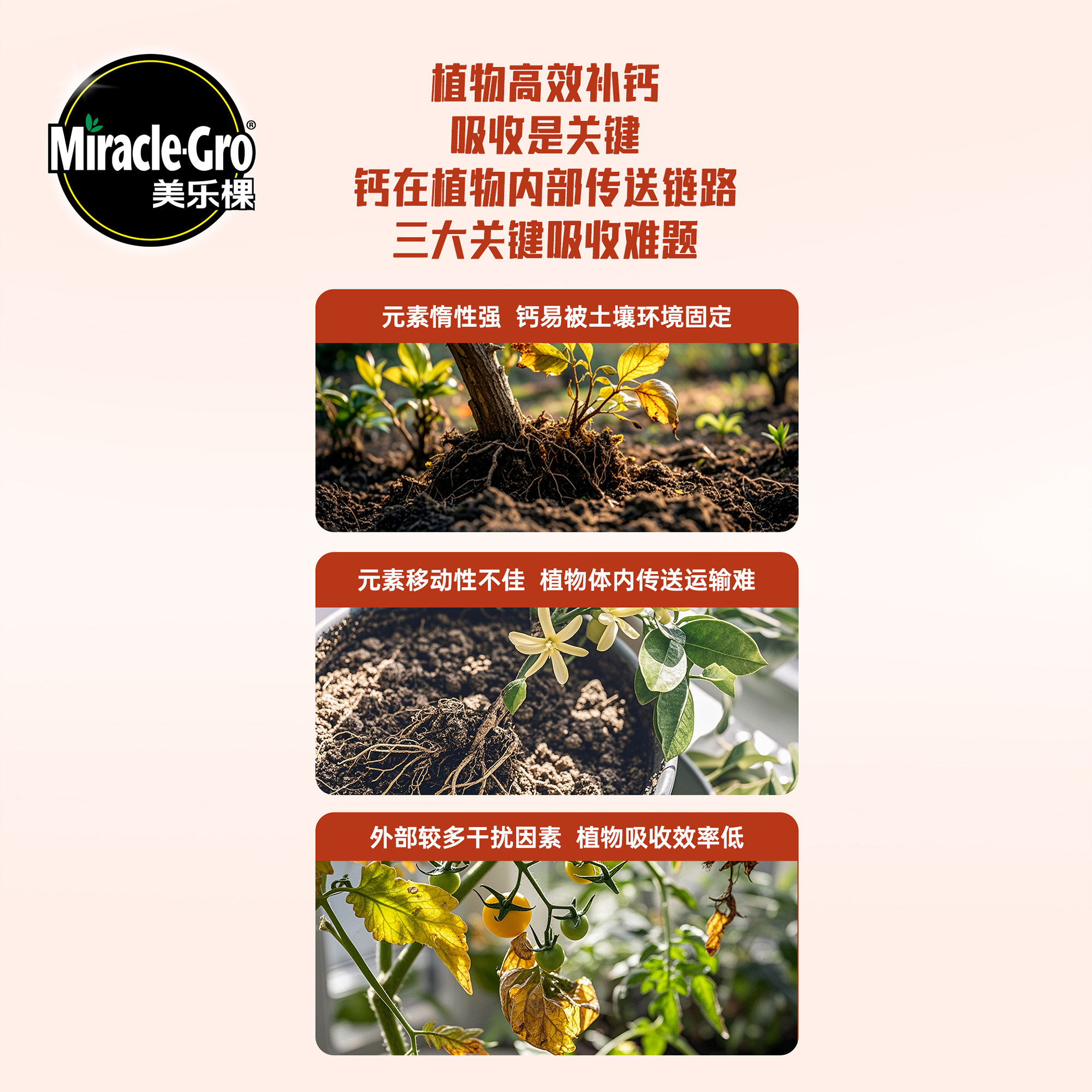 美乐棵植物补钙剂专研螯合钙高效易吸收绿植果蔬防裂壮果,淘宝优惠券,粉丝福利购,淘宝优惠卷