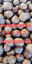 Northeast Teryield wild Mountain hazelnut Daxing Anling 2022 New cargo of nutcracker full and small hazelnut big grain gaga