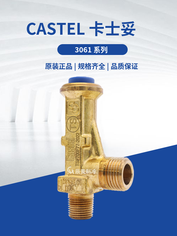 CASTEL安全压力泄压阀3061/2TS/3TS/4TS140-190-240-280-300-420-图3