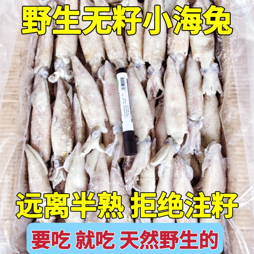新鲜籽乌海兔笔管鱼小鱿鱼仔鲜活冷冻墨鱼八爪鱼乌贼无冰海鲜水产,淘宝优惠券,粉丝福利购,淘宝优惠卷