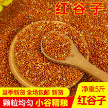 With shell red valley subgrain with shell millet tiger leather peony Hyun Fengwen bird bird food and bird feed 5 kilos