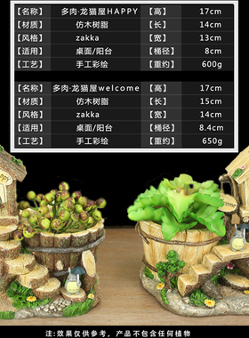 龙猫多肉花盆杂货创意原创微景观