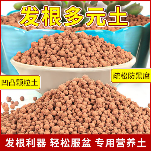 多元土纯颗粒活力土全颗粒透气铺面石球球土多肉肉植物专用营养土 - 图0