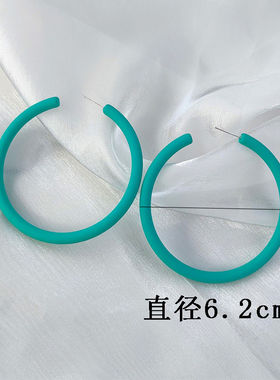 多巴胺超大耳环洋气百搭圆脸显瘦小众设计感耳圈网红气质夏季耳钉