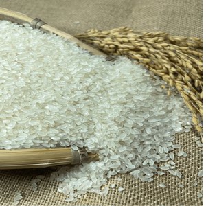 吉珍吉林大米长粒香5KG 2023年新米上市新鲜现磨直发