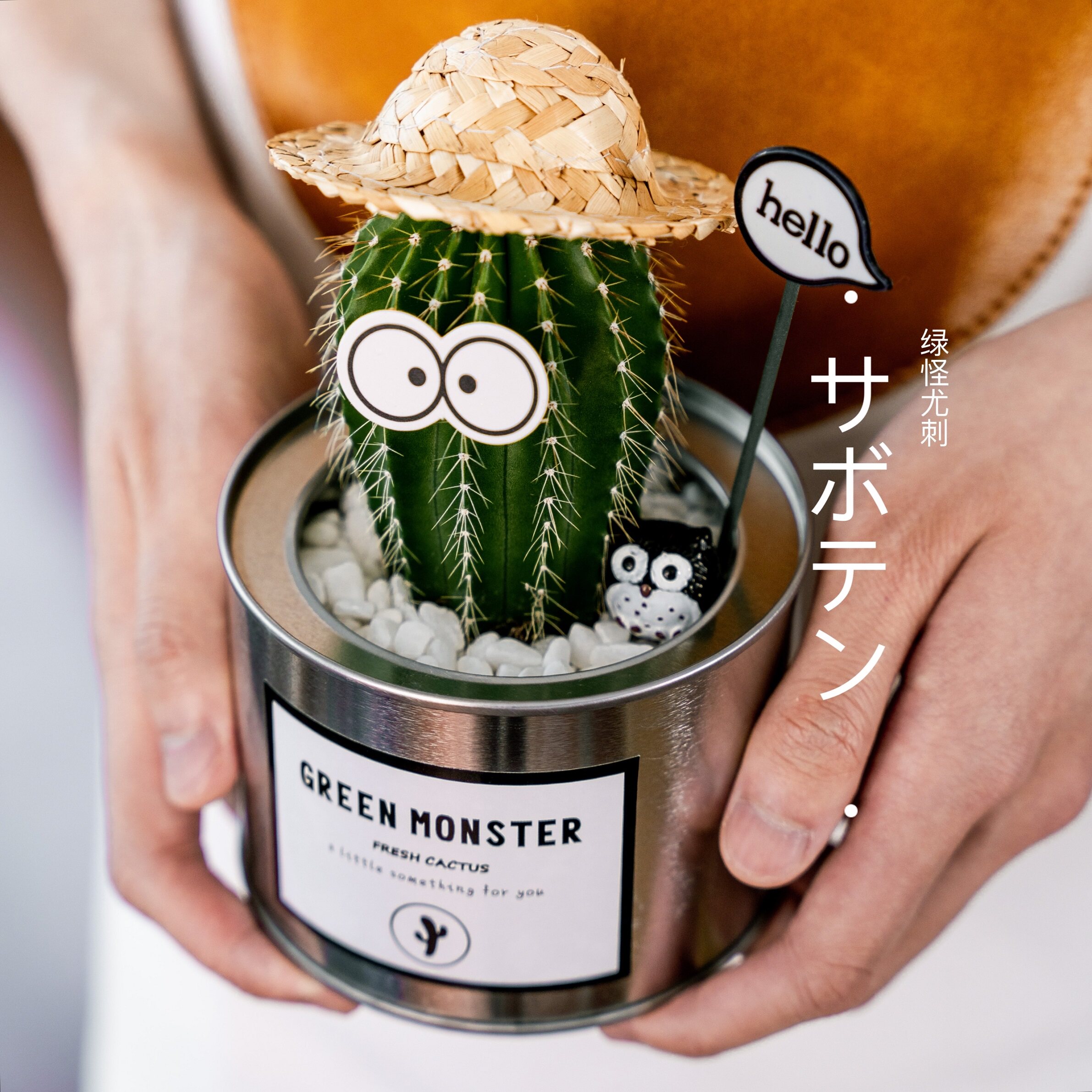 ins 创意可爱治愈 节日礼品 小型办公室桌面绿植盆栽 铁罐仙人掌,淘宝优惠券,粉丝福利购,淘宝优惠卷