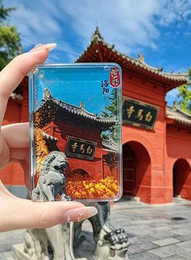 河南文创流沙磁吸冰箱贴高颜值亚克力旅游纪念伴手礼透明装饰流麻