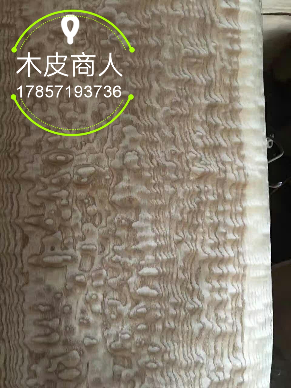 天然实木木皮花曲柳 泡泡岑 家具滑板木皮 乐器装饰 汽车内饰岑木