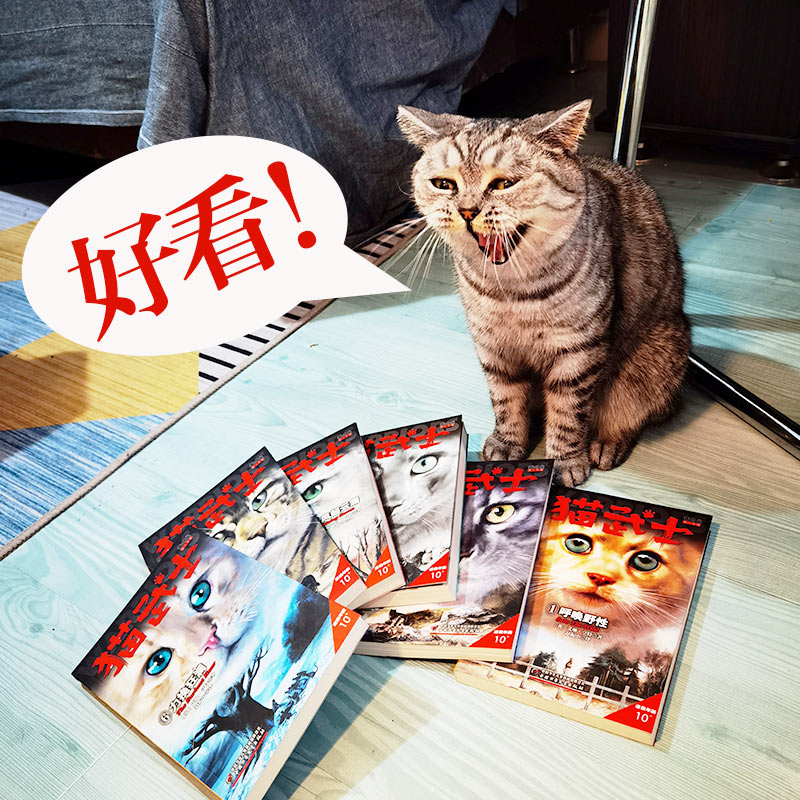 【全套任选】猫武士首部曲二三四五六七部曲全套42册 适读年龄6-15岁必读正版故事书小学生课外阅读书籍儿童奇幻成长动物小说 - 图2