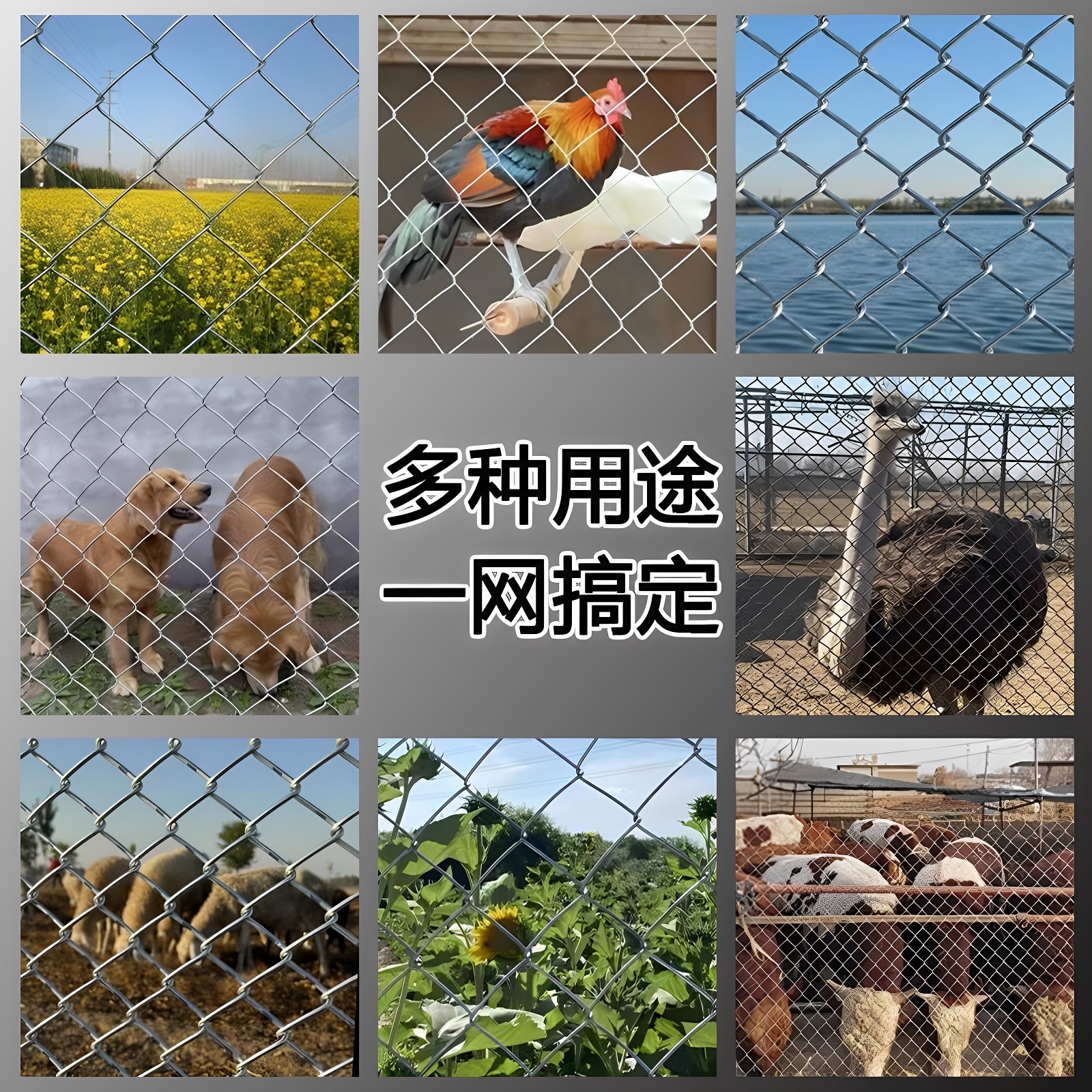 热镀锌铁丝网勾花网养殖猪牛羊隔离网养鸡围栏网圈地果园防护栅栏,淘宝优惠券,粉丝福利购,淘宝优惠卷