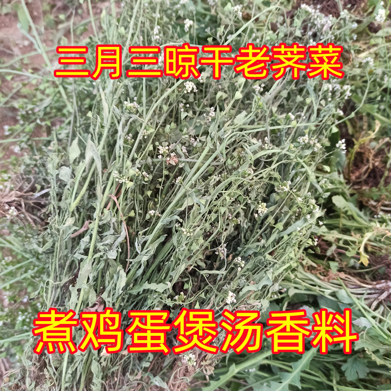 沂蒙山新鲜干老荠菜野货三月三煮鸡蛋月子孕妇香荠荠菜干野蔬菜 - 图1