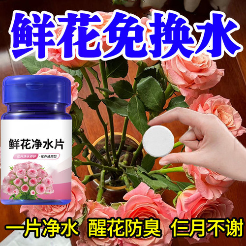 新升级鲜花绿植专用泡腾片二氧净水化氯保鲜除臭插花鲜切花卉醒花 - 图0