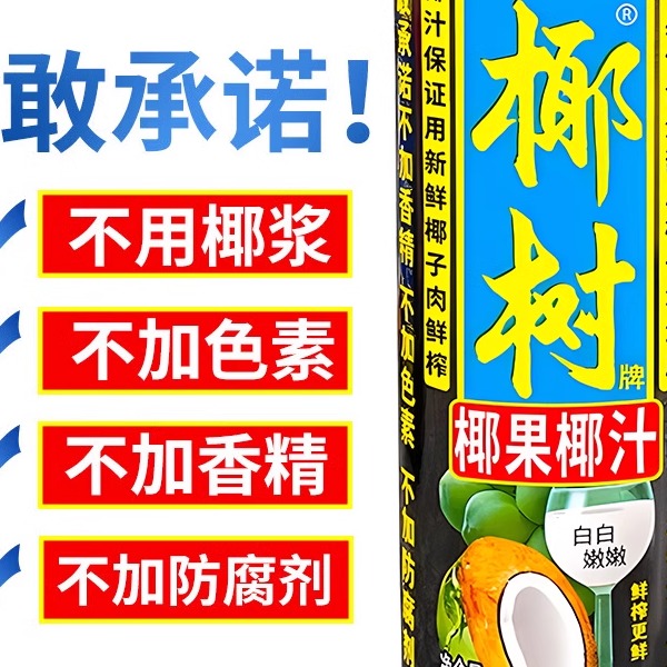 海南正宗椰树牌椰汁椰果椰汁250g*24罐整箱鲜榨椰汁植物蛋白饮料 - 图0