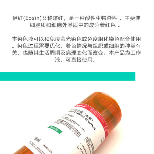 伊红染色液 水溶 Eosin Stain 科研实验 进口配方 PH0500 PHYGENE - 图0