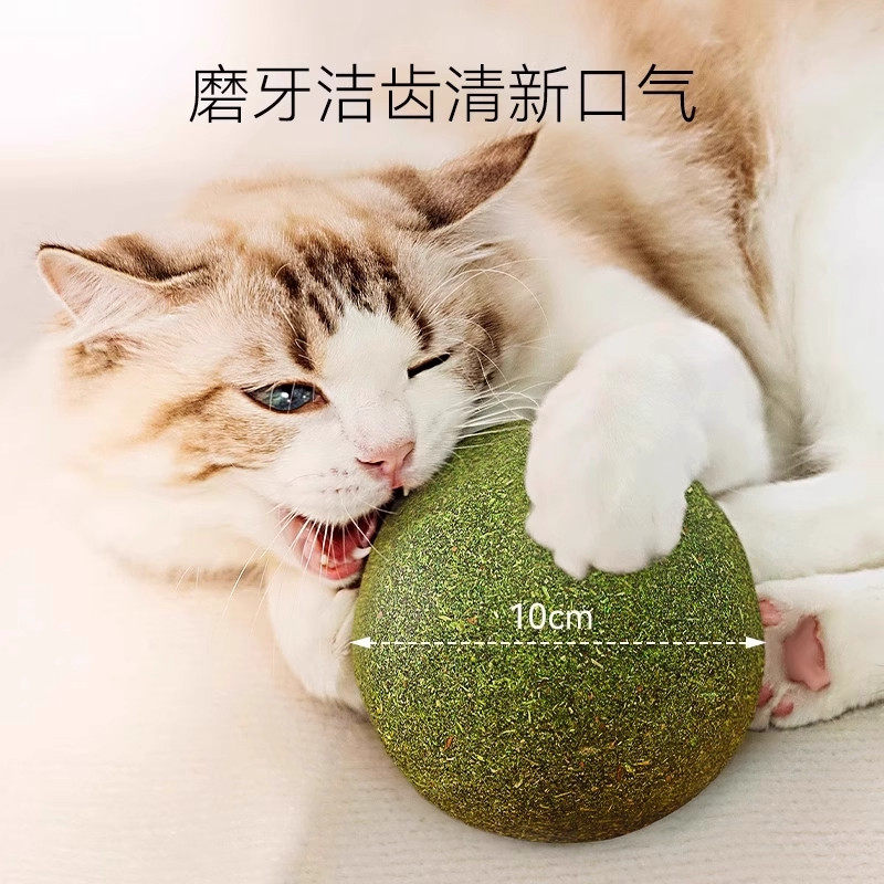 猫薄荷球超大猫玩具自嗨解闷神器磨牙猫草球逗猫棒猫咪用品木天蓼,淘宝优惠券,粉丝福利购,淘宝优惠卷