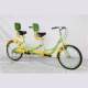 Tandem bicycle riding scenic area front and rear multi-person bicycle amusement equipment two-wheeled bicycle transportation for men and women adults