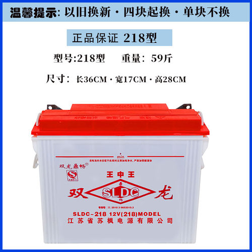 双龙铅酸蓄电池12v电动载重三轮车工程车电叉车水电瓶228型318型 - 图3