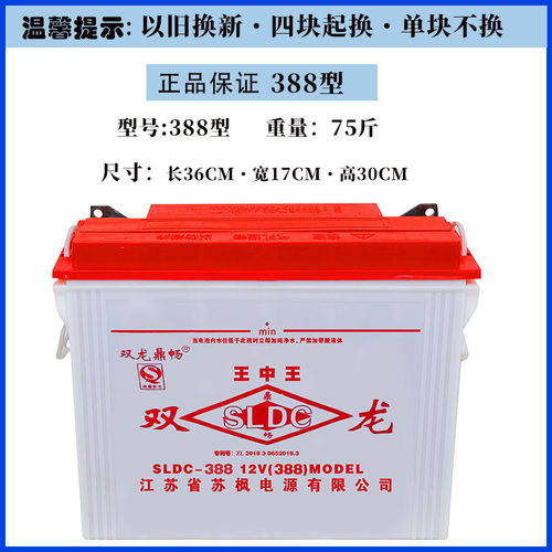 双龙铅酸蓄电池12v电动载重三轮车工程车电叉车水电瓶228型318型 - 图2
