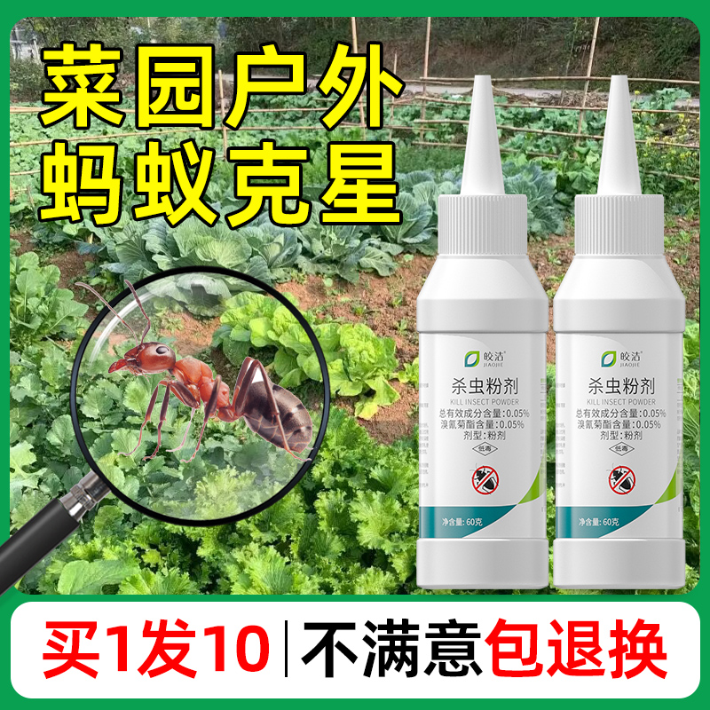 户外室外花盆土壤家用灭蚂蚁药全窝一锅杀蚂蚁药农用菜地杀虫药端 - 图2