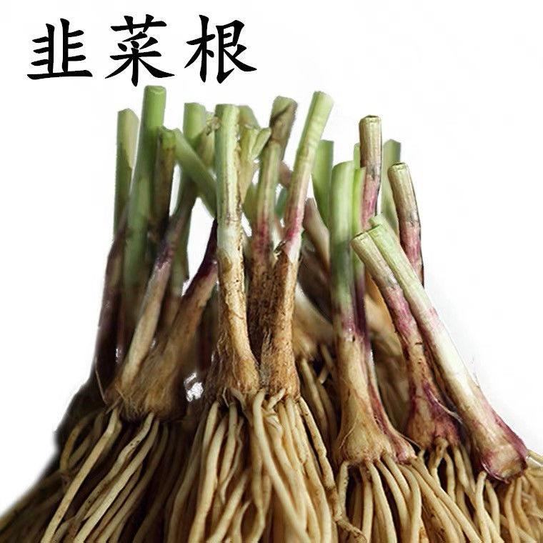 盆栽蔬菜韭菜根绿色蔬菜种苗蔬菜种子家庭园艺绿植四季种植包成活-图0