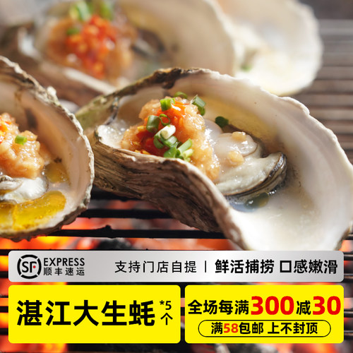 木屋烧烤湛江生蚝5个大A蚝新鲜烧烤食材户外露营自助材料特色食品 - 图0